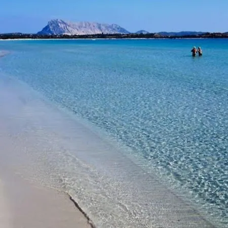 Appartamento Prestigiosa La Cinta San Teodoro (Sardinia)
